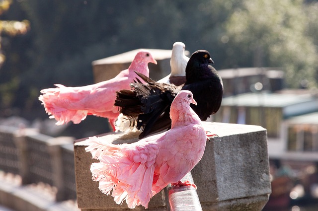 这种团队精 这种团队精