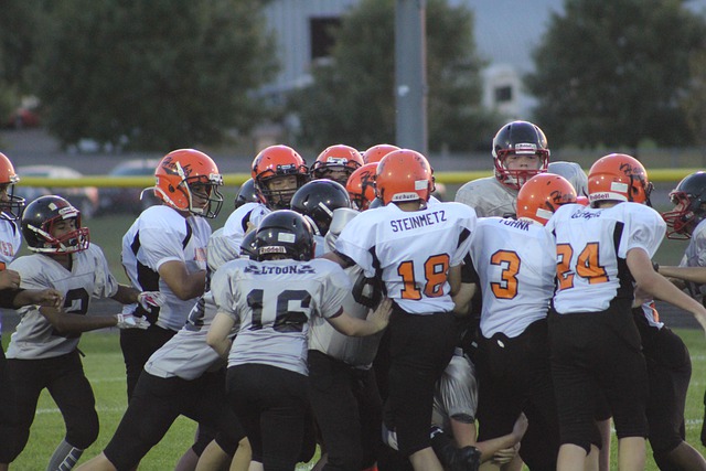 片土地的不 片土地的不