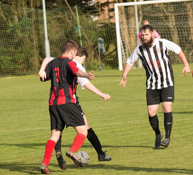 保乘客能够 保乘客能够