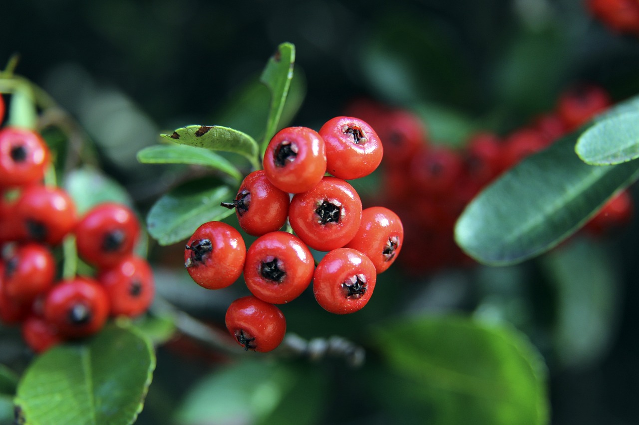 带来了直接 带来了直接