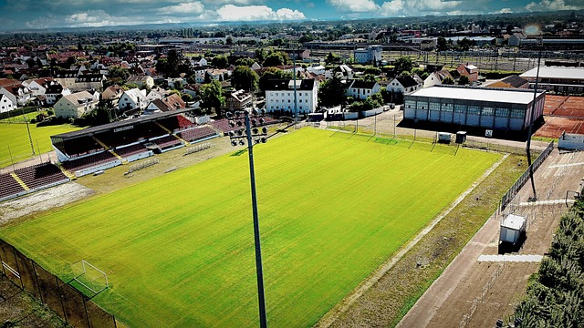 还需要其他 还需要其他