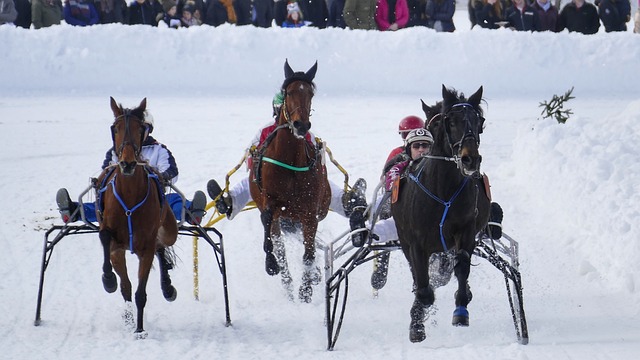 湖人队成功 湖人队成功