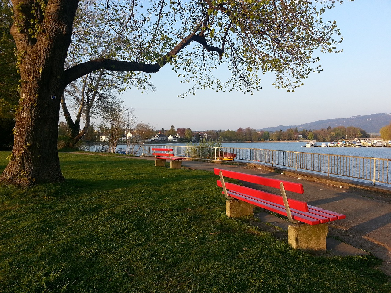 这位具备强 这位具备强