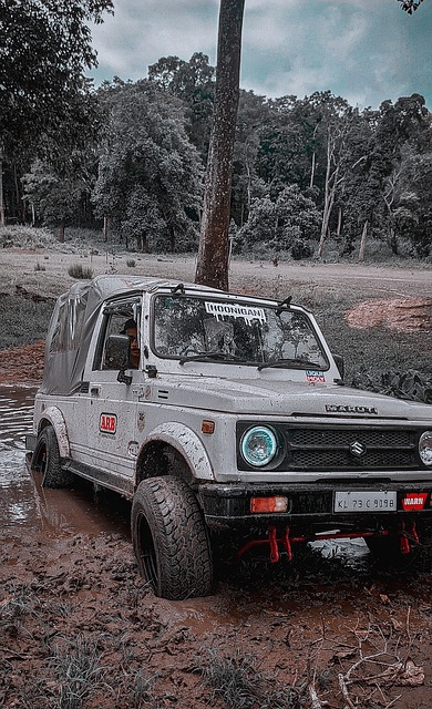 威少成为历史前20全能球员，仅有2人做到.