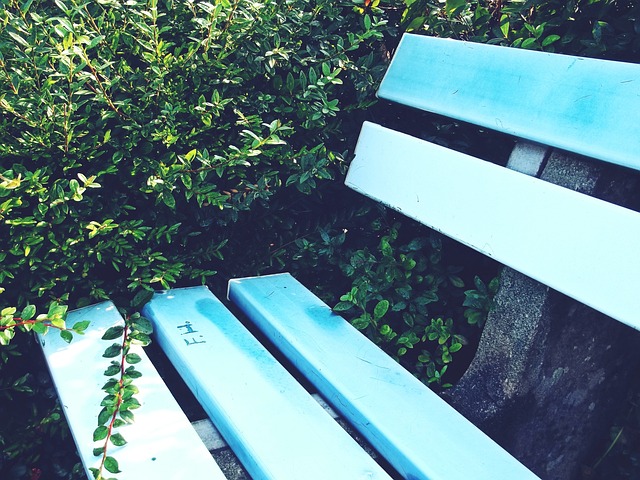 國際友誼賽 國足0-0新西蘭導致國際足聯積分被減，間接影響世界杯預賽分組.